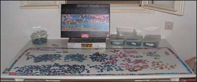 Life - 3000 piece puzzle
