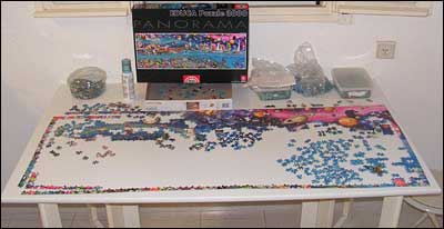 Life - 3000 piece puzzle